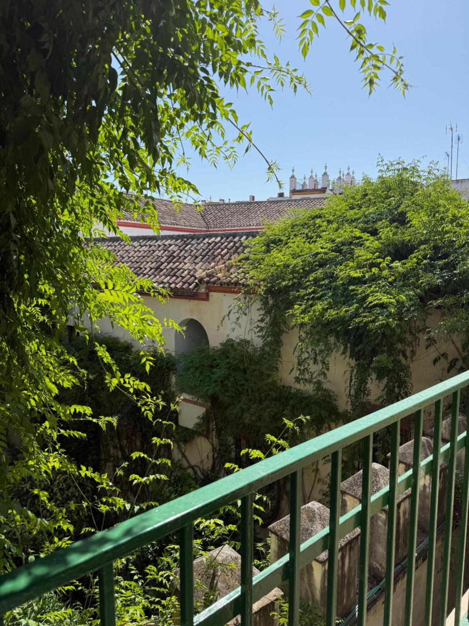 Two-Bedroom Deluxe Apartment Garden View